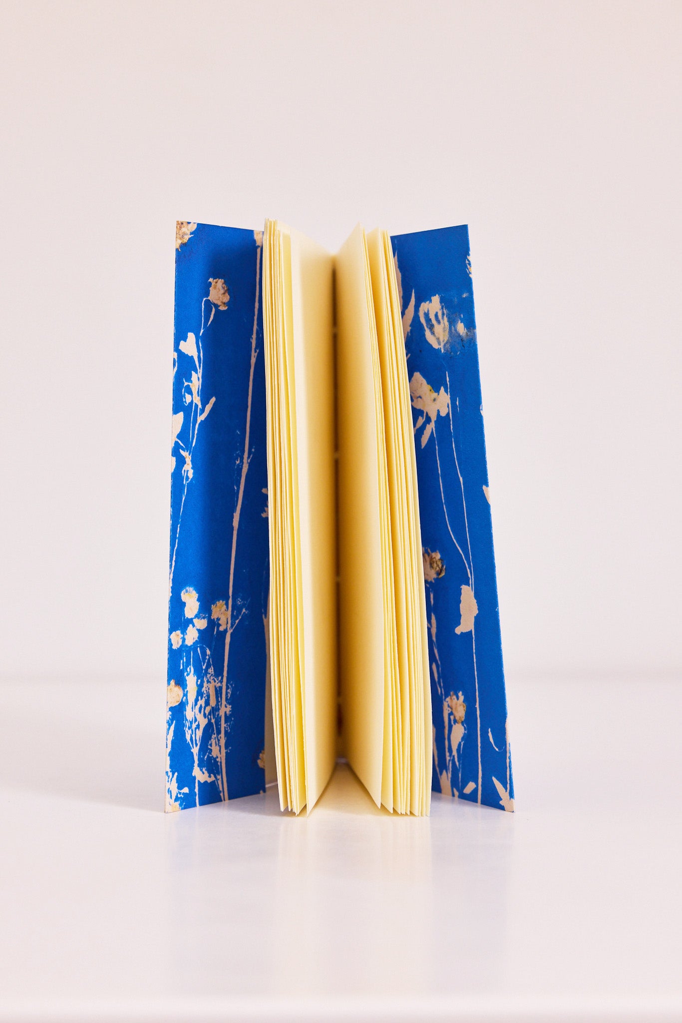 Carnet Palais Royal Azur
