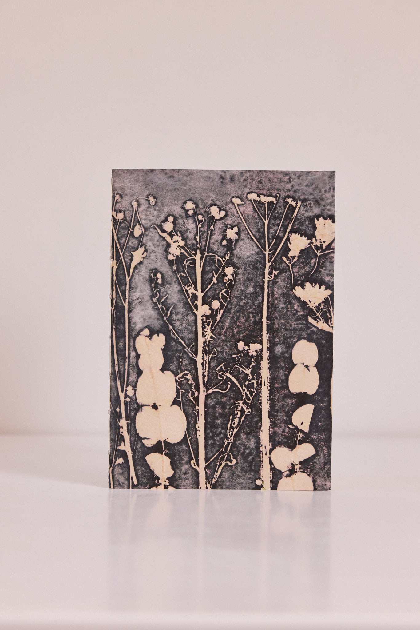 Carnet Serres d'Auteuil