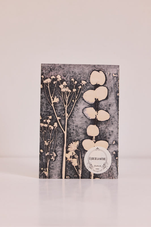 Carnet Serres d'Auteuil