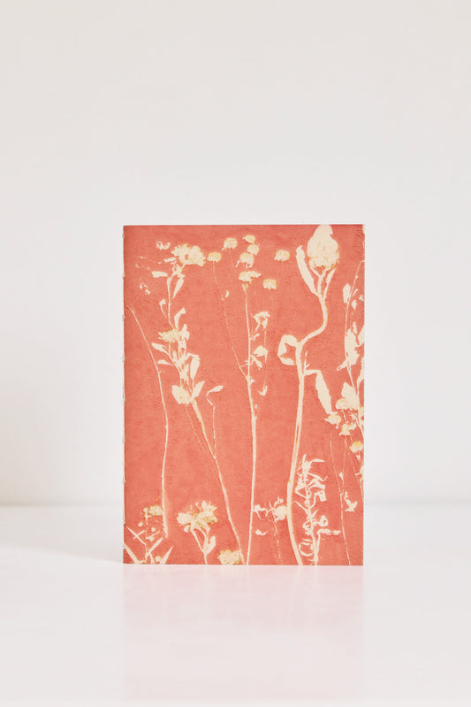 Carnet Chaumont