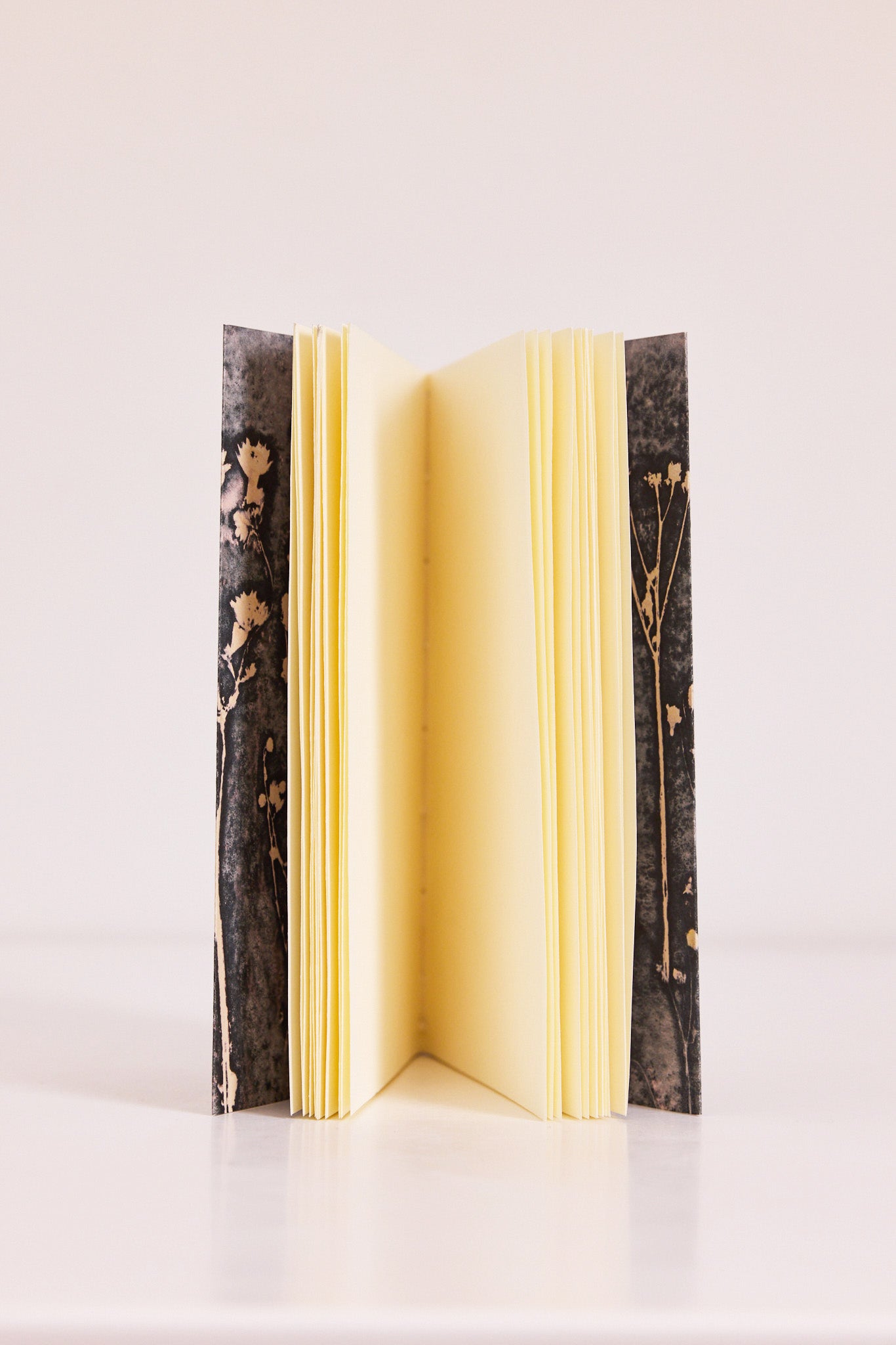 Carnet Serres d'Auteuil