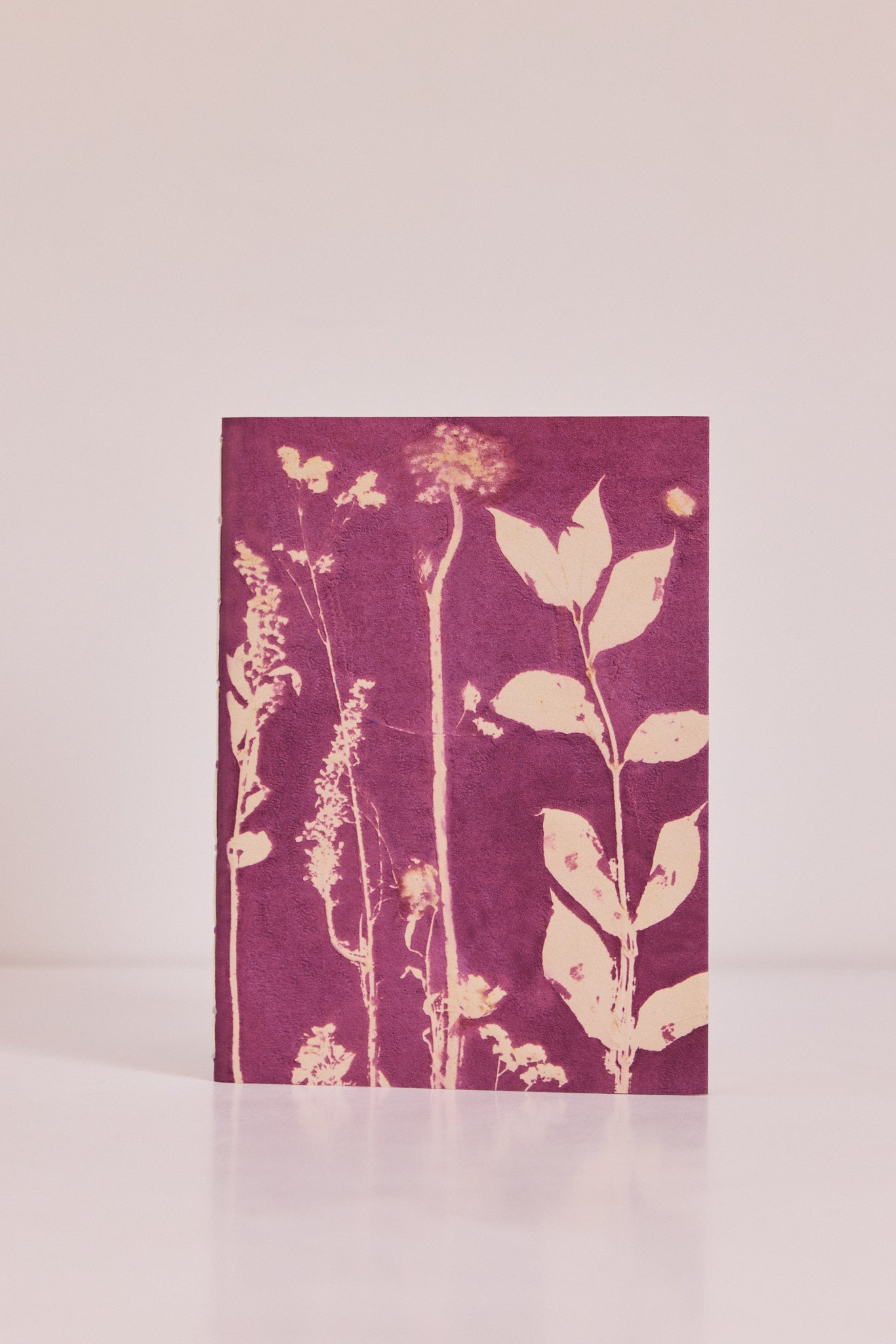 Carnet Vincennes