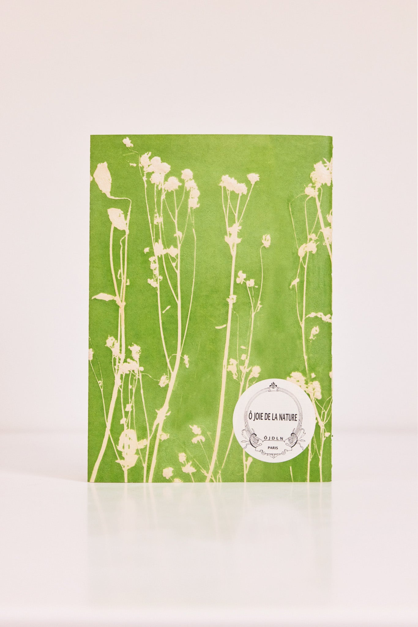 Carnet Coulée verte