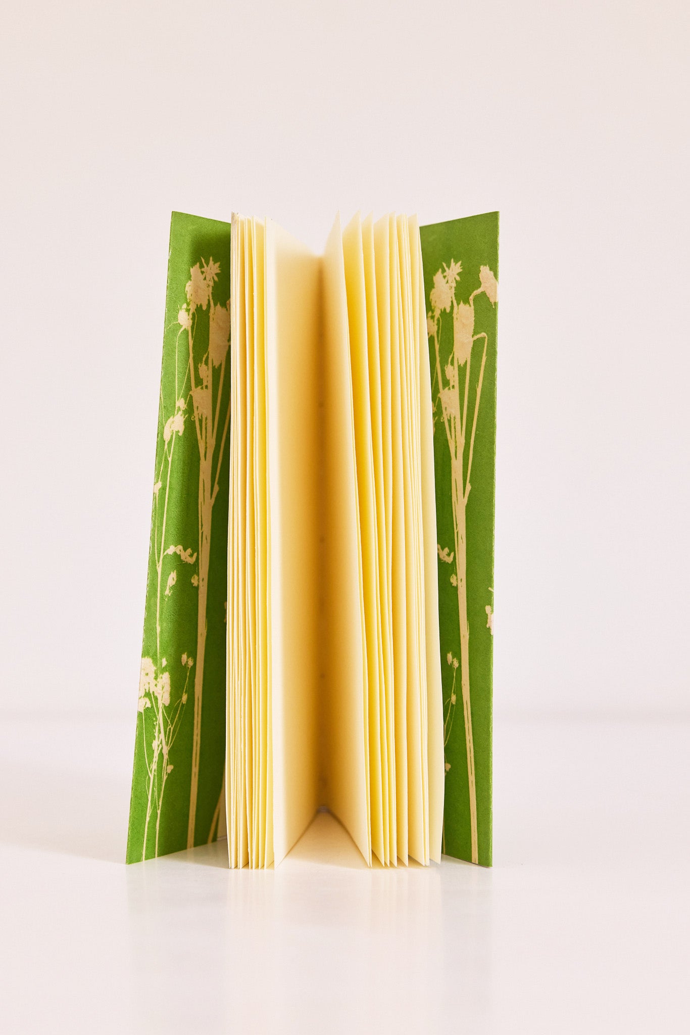 Carnet Coulée verte