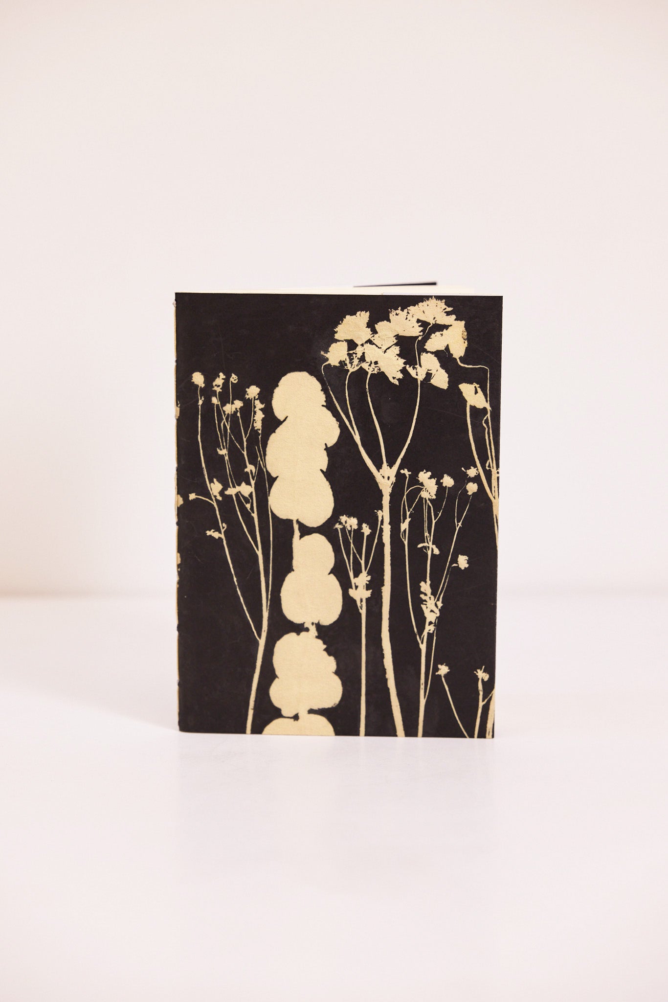 Carnet Montsouris