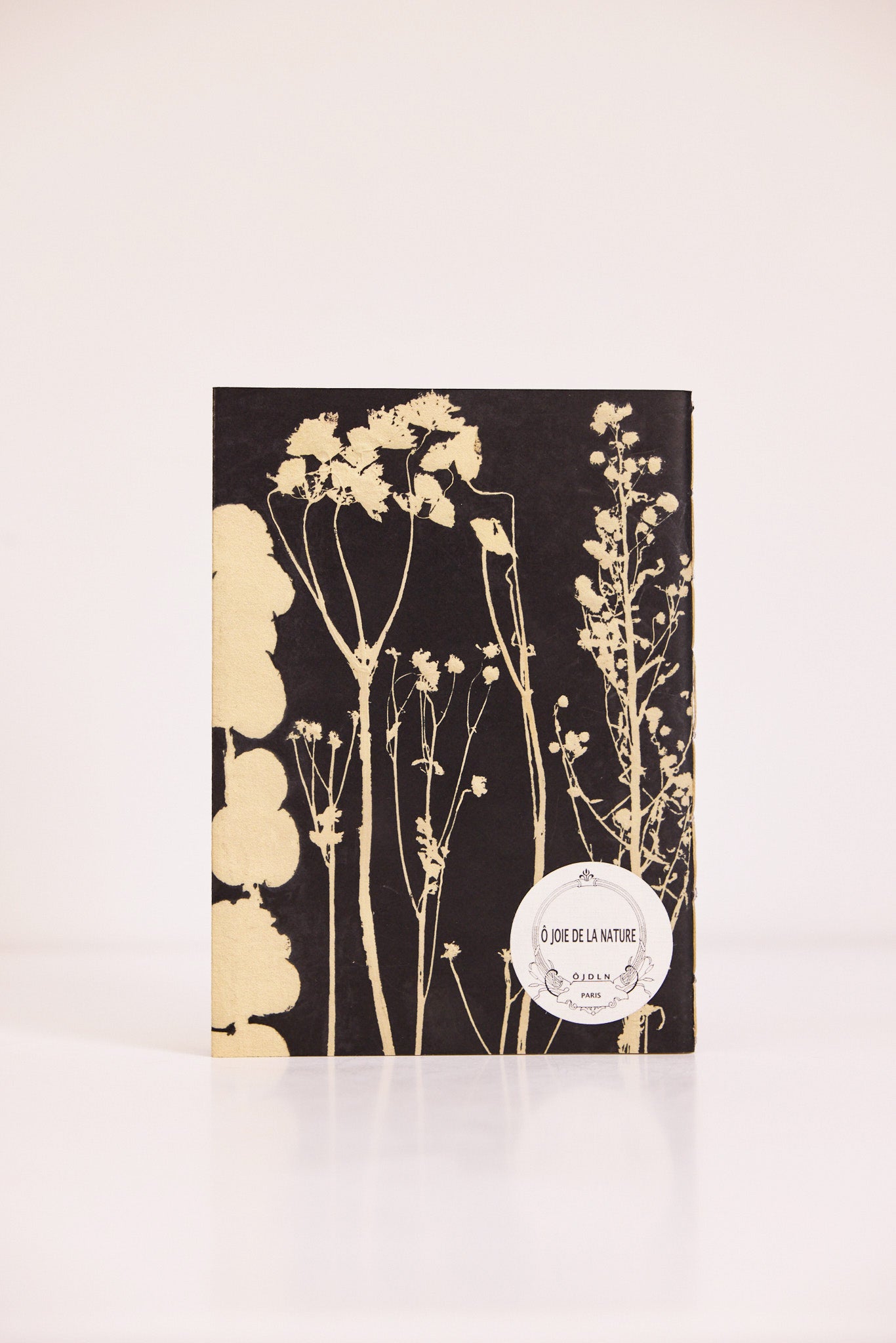 Carnet Montsouris