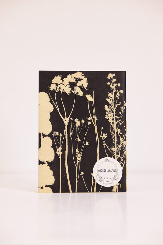 Carnet Montsouris
