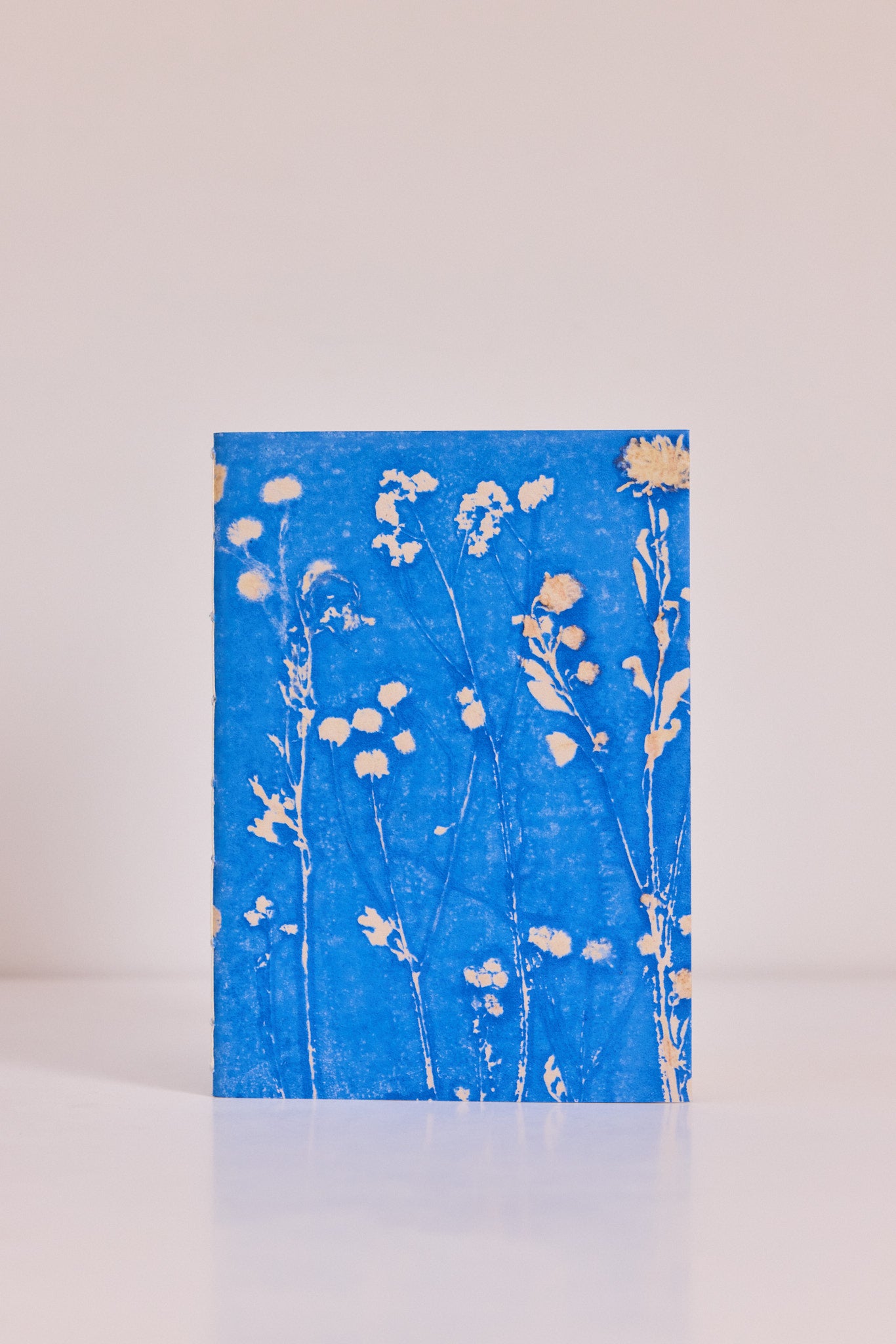 Carnet Palais Royal Ciel