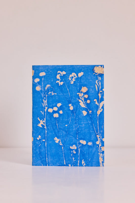Carnet Palais Royal Ciel