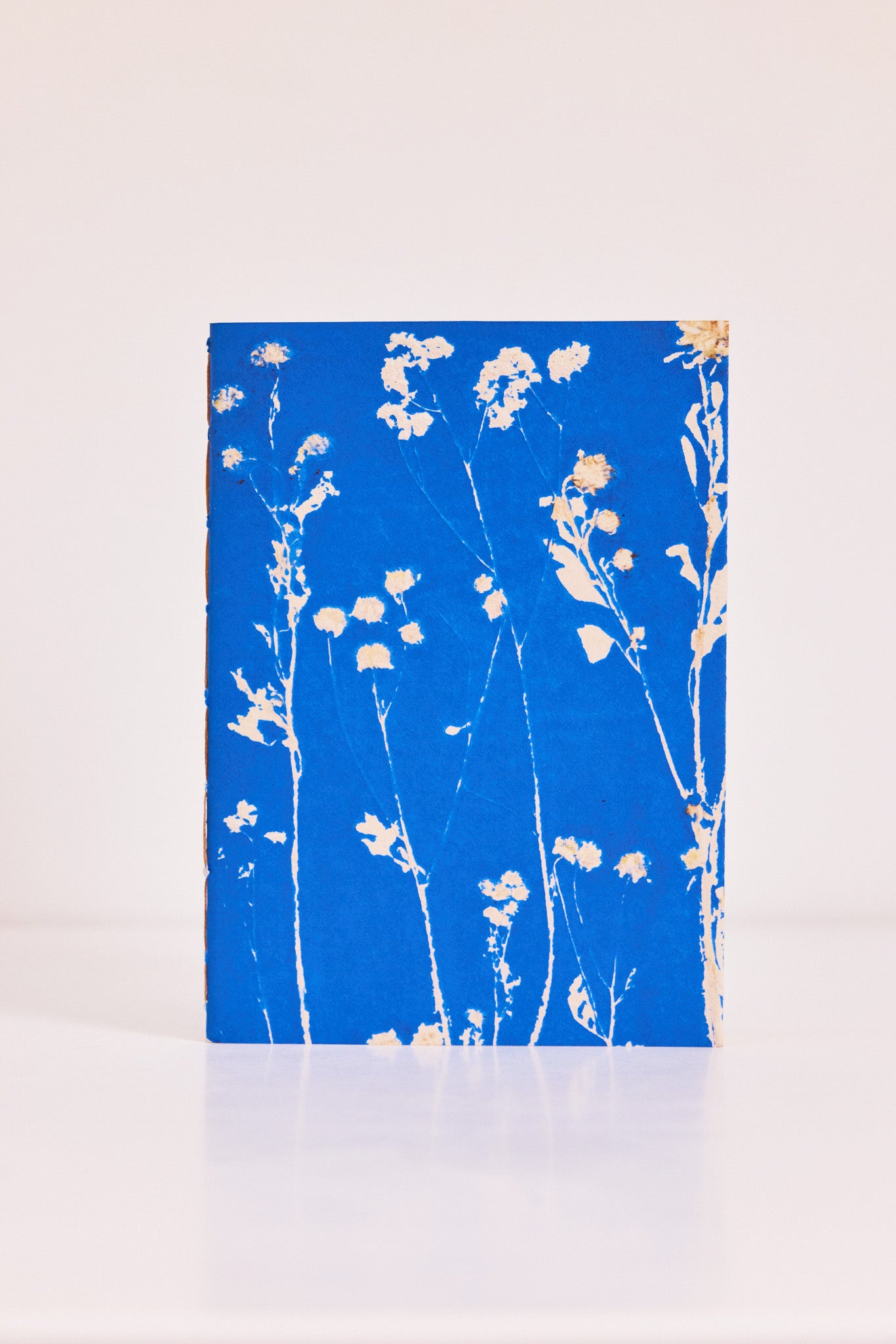 Carnet Palais Royal Azur