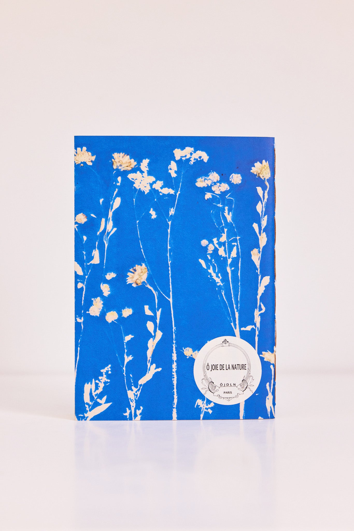 Carnet Palais Royal Azur